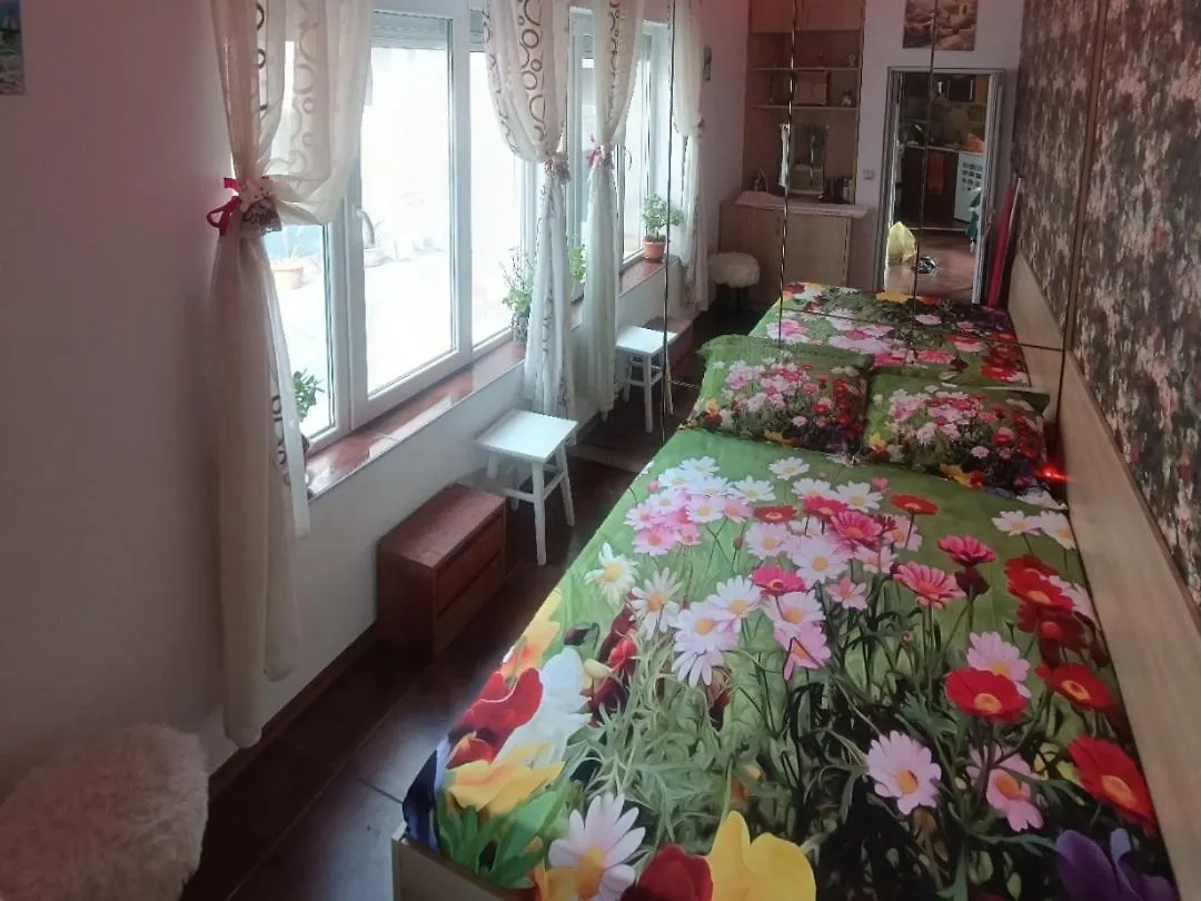 Apartmán Cozy Flat Sisilia Center Varna 0*,  Bulharsko